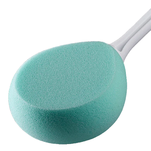 Everyday Sponge