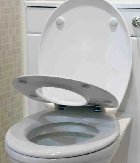 Family Dual Toilet Seat with Lid - Image 3