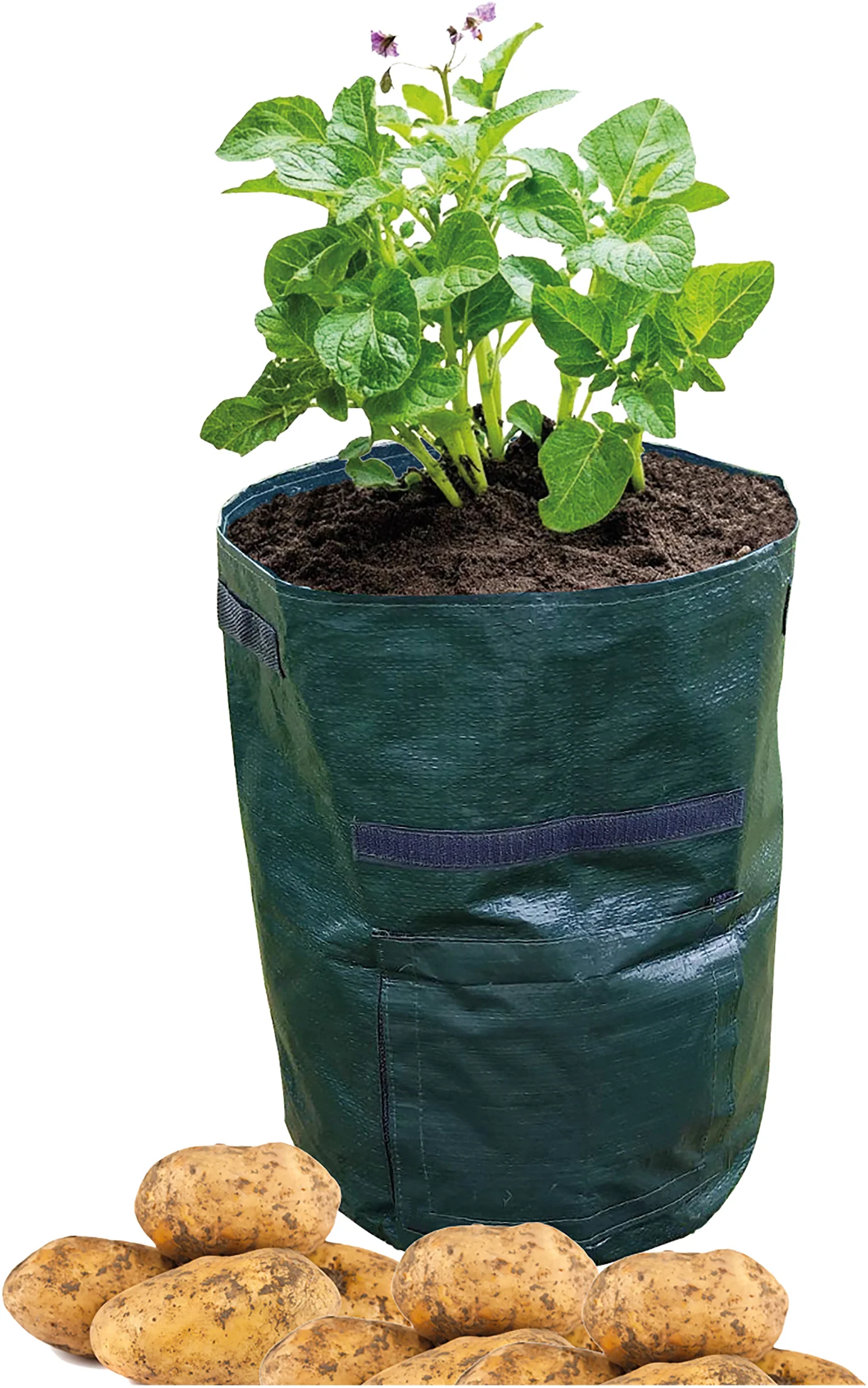 Potato Grow Bag - Pack Of 2 - Image 2