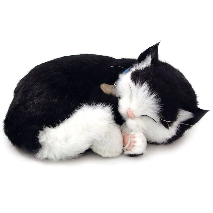 Precious Pet - Kitten