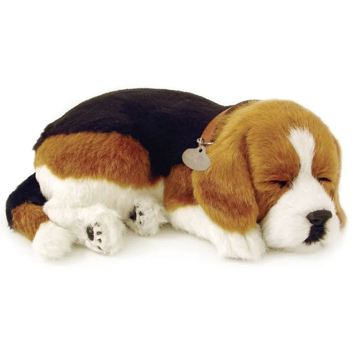 Precious Pets - Puppies - Image 2