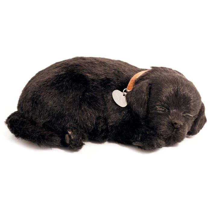 Precious Pets - Puppies - Image 3