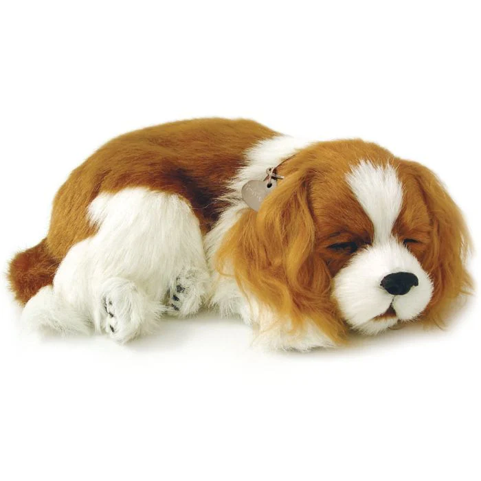 Precious Pets - Puppies - Image 4