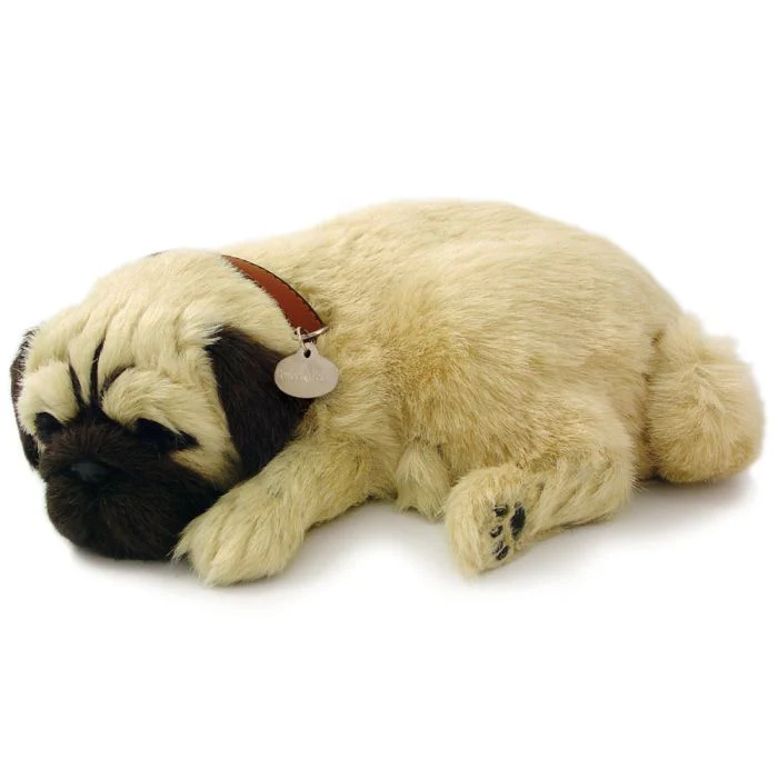 Precious Pets - Puppies - Image 7