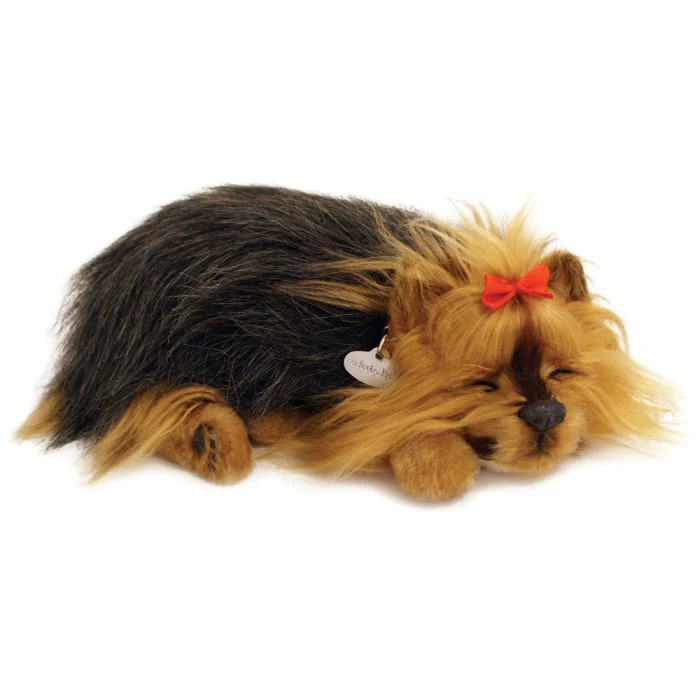 Precious Pets - Puppies - Image 9