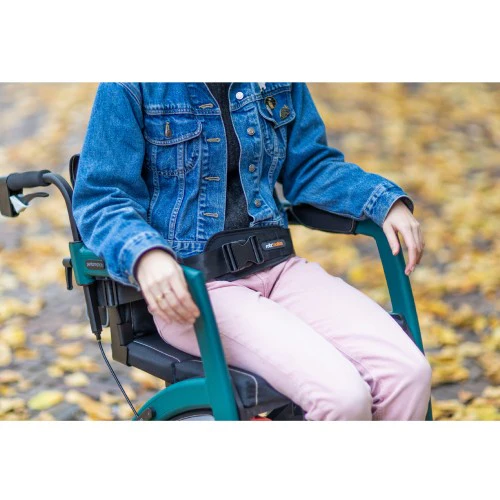 Rollz Motion Seatbelt - Image 2